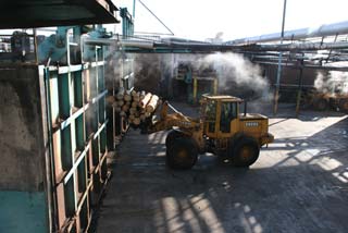 Loading logs into vat